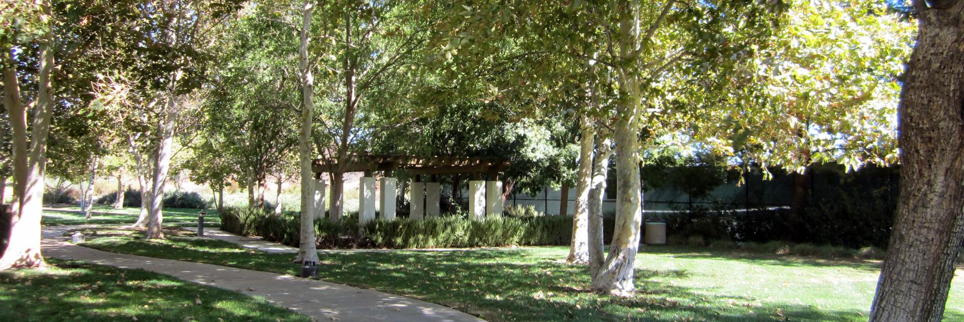 woodlands 3